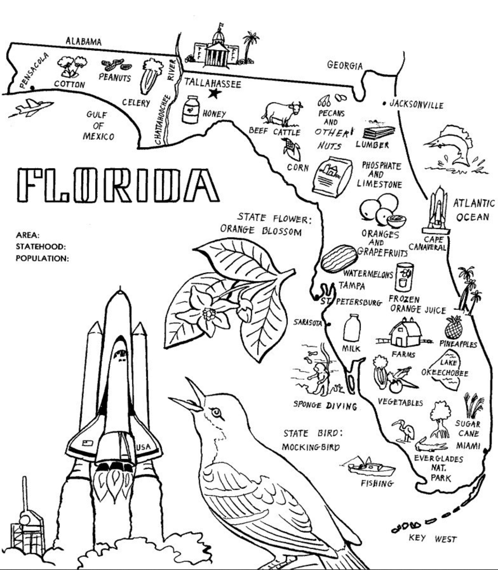 USA Coloring Book Pdf. File Filled With Coloring Pictures and Lots of