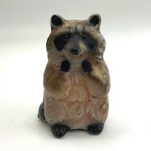 Raccoon Pocket Deity