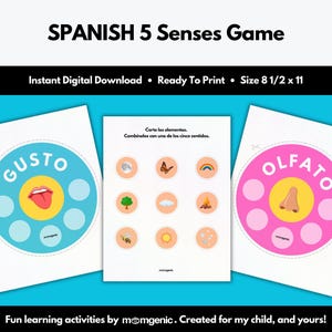 SPANISH 5 Senses Sorting Activity (matching game, early learning, human body, homeschool, preschool game, Montessori, español, download)