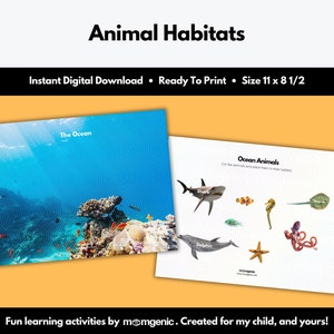 Habitats animaux (apprentissage pour les tout-petits, activité préscolaire, jeux d'animaux, reconnaissance d'animaux, école à la maison, préscolaire, imprimable, téléchargement immédiat)