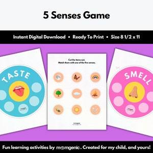5 Senses Game (matching game, sorting activity, early learning, human body, homeschool, preschool, kindergarten, instant download)