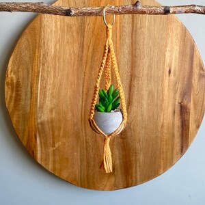 DIY Kit MINI LYRA Macramé with Faux Succulent Plant//Blue Green Yellow Hoop Plant Hanger Brass Ring Natural Jute Teen Small Spaces image 5