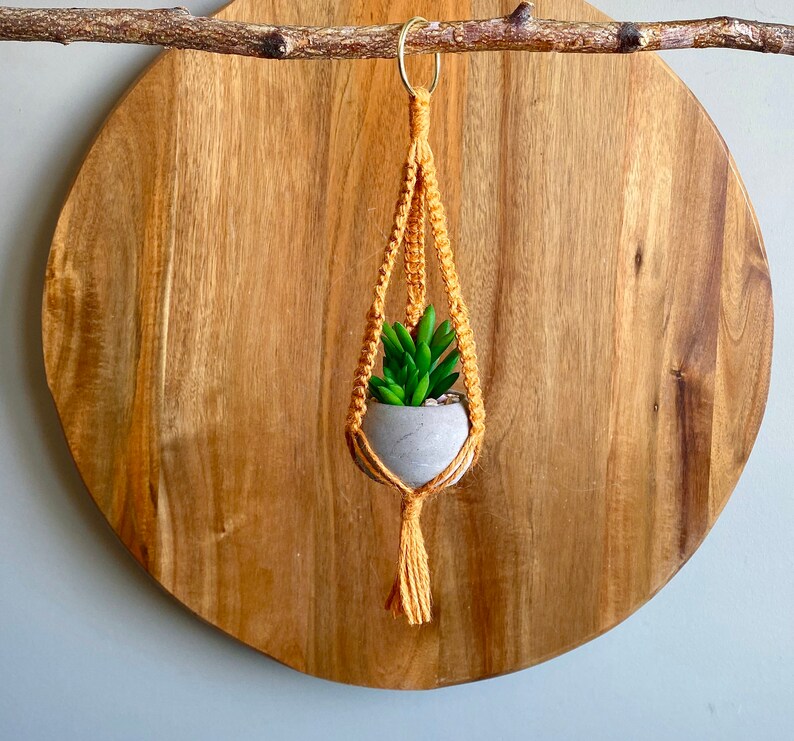 DIY Kit MINI LYRA Macramé with Faux Succulent Plant//Blue Green Yellow Hoop Plant Hanger Brass Ring Natural Jute Teen Small Spaces image 5