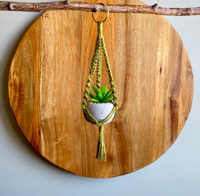 DIY Kit MINI LYRA Macramé with Faux Succulent Plant//Blue Green Yellow Hoop Plant Hanger Brass Ring Natural Jute Teen Small Spaces image 7