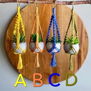 DIY MINI LYRA Pattern Macramé// Pdf Digital Download Tutuorial Blue Green Yellow Hoop Plant Hanger Brass Ring Natural Jute Teen Small Spaces image 2