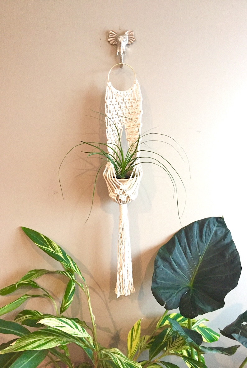 LITTLE VENUS Macramé Pattern//DIY Tutorial Wall Wall Plant Hanger Beginner Basic Instructions Macrame Fiber Arts Pattern Only image 2