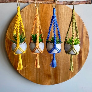 DIY Kit MINI LYRA Macramé with Faux Succulent Plant//Blue Green Yellow Hoop Plant Hanger Brass Ring Natural Jute Teen Small Spaces image 2