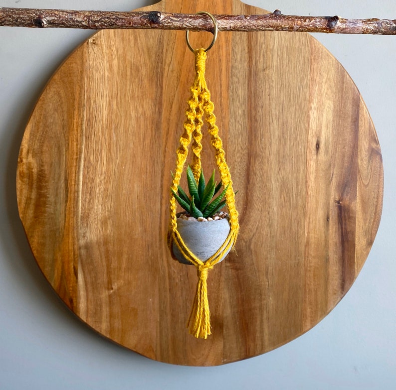 DIY MINI LYRA Pattern Macramé// Pdf Digital Download Tutuorial Blue Green Yellow Hoop Plant Hanger Brass Ring Natural Jute Teen Small Spaces image 4