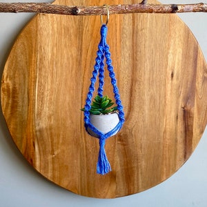 DIY Kit MINI LYRA Macramé with Faux Succulent Plant//Blue Green Yellow Hoop Plant Hanger Brass Ring Natural Jute Teen Small Spaces image 6