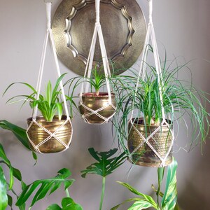 May include: Three hanging plant macrame planters with white cord and brass pots. The plants are a spider plant, a ponytail palm, and a dracaena.
