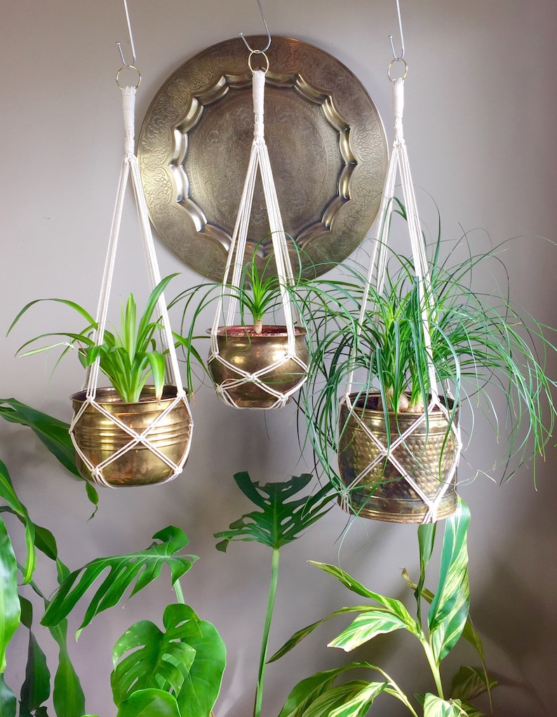 May include: Three hanging plant macrame planters with white cord and brass pots. The plants are a spider plant, a ponytail palm, and a dracaena.