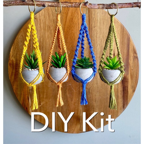 DIY Kit MINI LYRA Macramé with Faux Succulent Plant//Blue Green Yellow Hoop Plant Hanger Brass Ring Natural Jute Teen Small Spaces