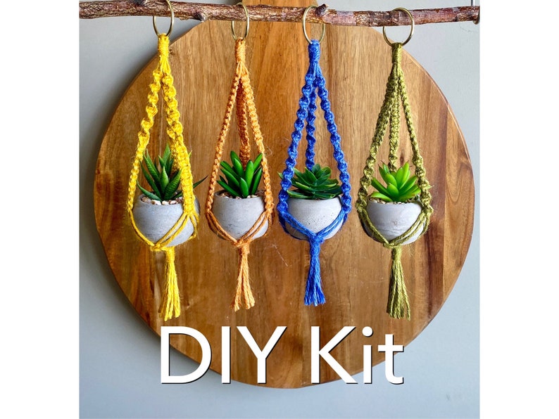 DIY Kit MINI LYRA Macramé with Faux Succulent Plant//Blue Green Yellow Hoop Plant Hanger Brass Ring Natural Jute Teen Small Spaces image 1