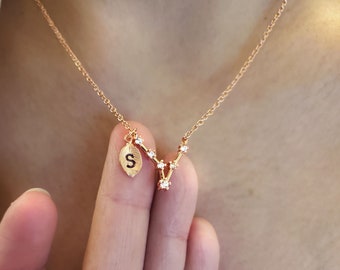 Gemini Swarovski Necklace - Etsy