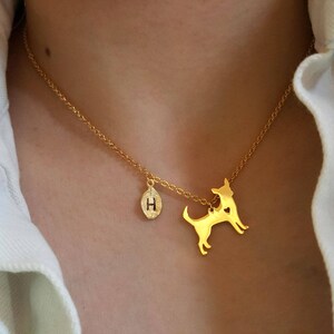 Collier de chien Chihuahua Petite délicate, collier Chihuahua, collier de superposition, petit collier, cadeau de demoiselle dhonneur, cadeau précieux, collier de chien image 3