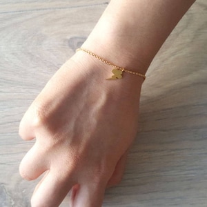 May include: A gold chain bracelet with a small lightning bolt charm.