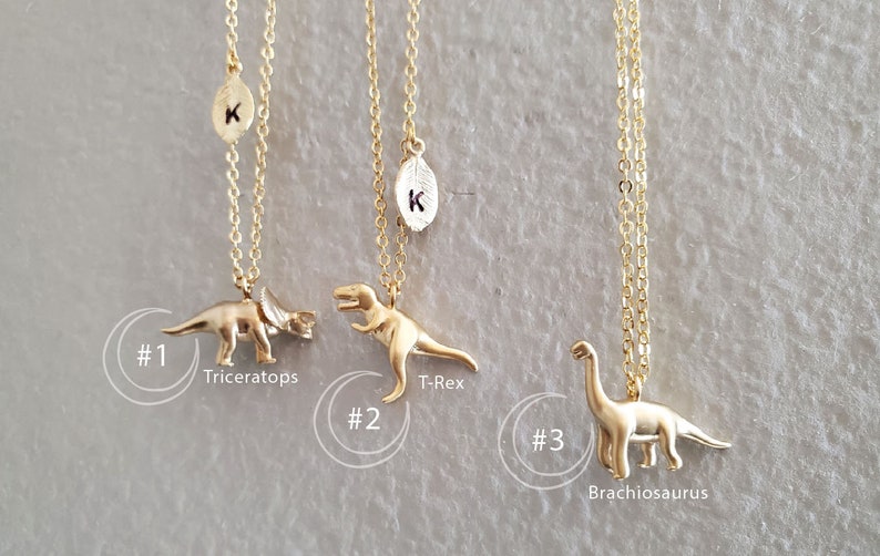 Triceratops, T-Rex, Brachiosaurus Necklace Dinosaur jewelry initial necklace mothers necklace Christmas birthday gifts Personalized Jewelry image 2