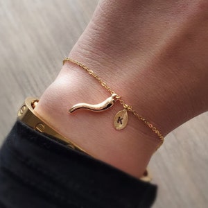 May include: A gold chain bracelet with a small gold chili pepper charm and a gold disc charm with the letter "K" engraved on it.