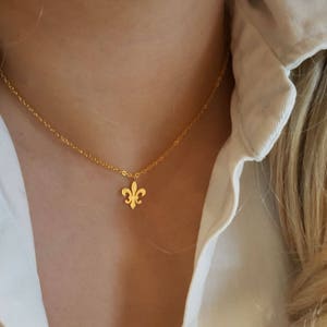 Fleur de lis necklace Flower necklace Lily mothers necklace bridesmaid gifts Christmas birthday gifts Personalized Jewelry Best Friend Gift image 3