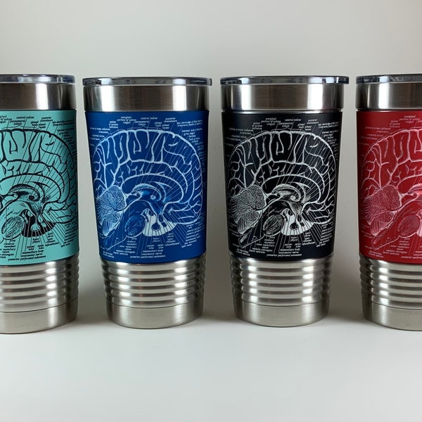 Anatomy Tumbler | Brain Anatomy Gift | Travel Coffee Cup | Neurologist Gift | Surgeon Tumbler | Stainless Steel Cup | Doctor