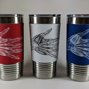May include: Three stainless steel tumblers with different colored silicone sleeves. Each sleeve features a black and white anatomical illustration of a hand. The sleeves are red, white, and blue.