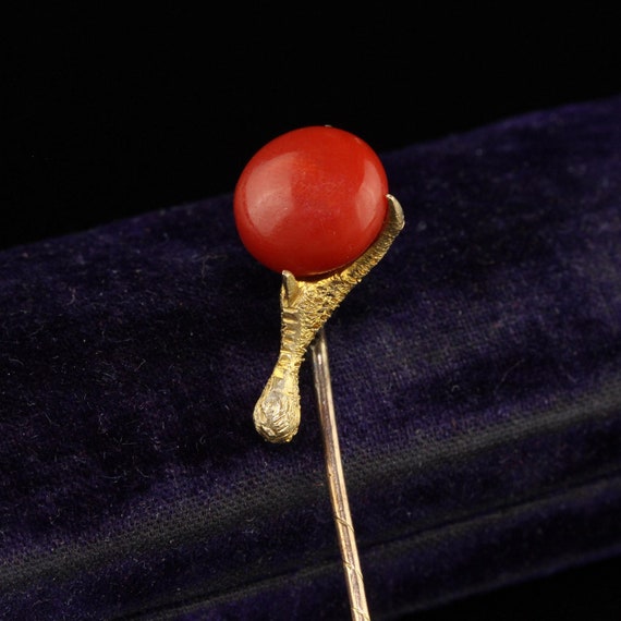 Antique Victorian 14k Yellow Gold Natural Coral Claw Stick Pin