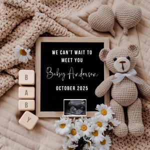 Digital Pregnancy Announcement Template Editable, Social Media Reveal, Baby Announcement, Boho Gender Neutral Template, Instant Download