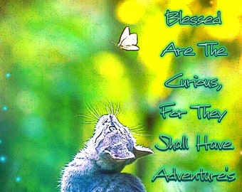 Kitten And Butterfly Blessed Are The Curious For They Shall Have Adventure's Digital Download Art Decor, Childs Room, Quote, Wall Hanging