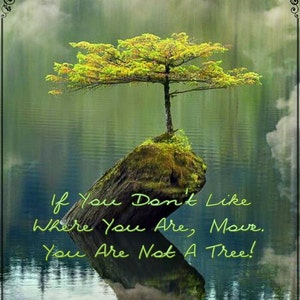 If You Don&#39;t Like Where You Are Move You Are Not A Tree Digital Download Art Decor, Nature, River, Tree, Quote, Wall Hanging, Motivational