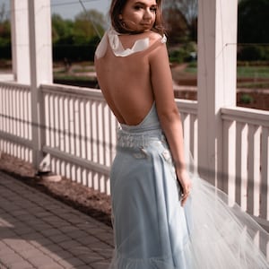 May include: A light blue floor-length dress featuring a backless design with white ribbon ties at the neck. The bodice and waist are adorned with white floral embroidery and small bird appliqu&eacute;s, complemented by a sheer tulle overlay skirt.