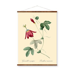 Rote Leidenschaft Blume Vintage Medizinische Botanicals Antike Passionsblume Kraut Pflanze Zeichnungen Fertig zum Aufhängen Küche Kunst Dekorative Leinwand Rolle
