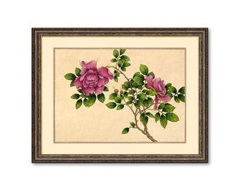 Rose Flower Illustration 18th Century Art Decorative Wall Print Poster Home Decor Flowers Wall Hangings BUY 3 Get 4th PRINT FREE