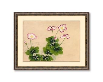 Botanical Wall Print: Mallow Flower Illustration - Vintage Floral Art