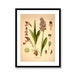 see more listings in the Botanicals / PRINTS section