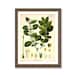 see more listings in the Botanicals / PRINTS section