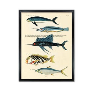 Surreal Fish Illustration Print: Colorful East Indies Wall Art