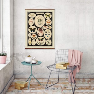 Vlinder Wetenschapskaart Illustratiekunst Klaar om op te hangen antiek muurdecor Opgerolde canvasrol