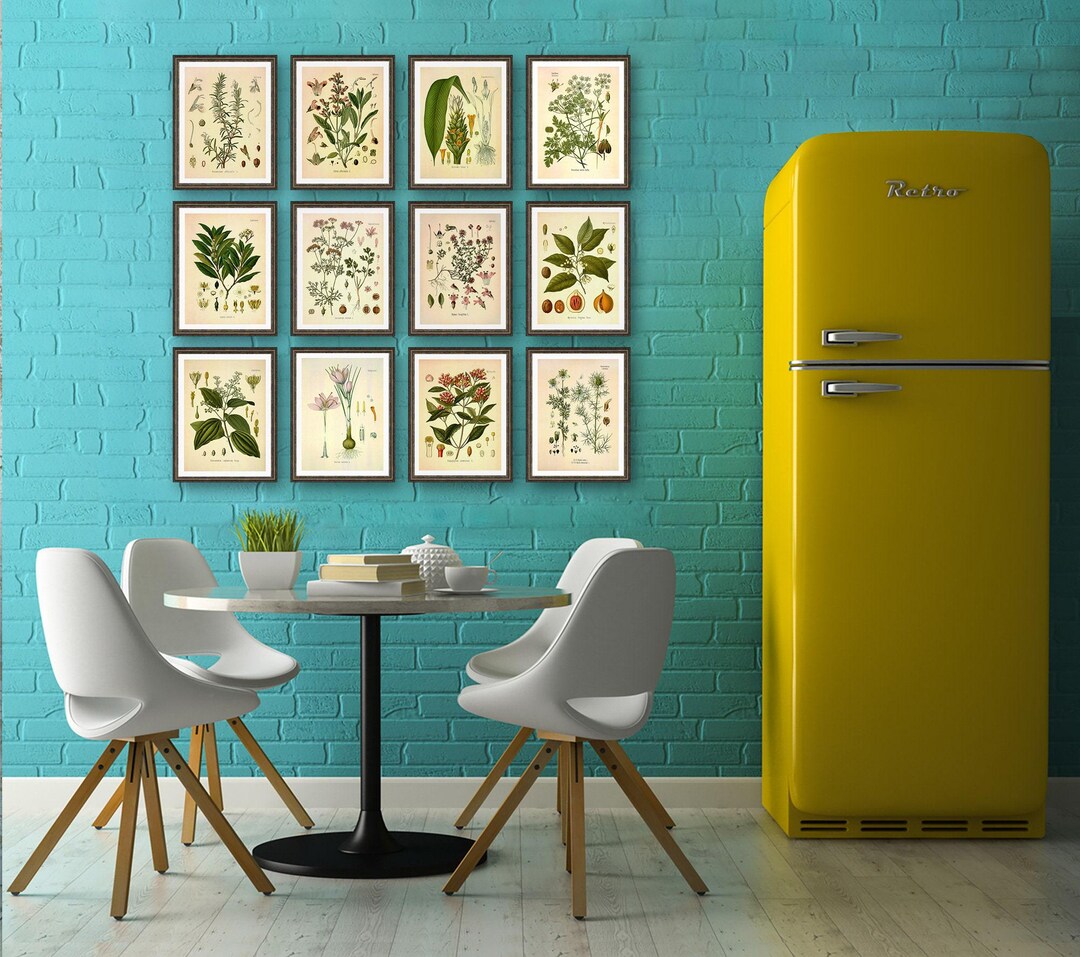 Herb Wall Art Set: Vintage Botanical Kitchen Prints, 12 Pieces - Etsy