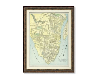 May include: A vintage map of Charleston, South Carolina, with a compass rose in the lower right corner. The map is framed in a brown wood frame.