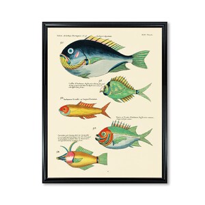 East Indies Colorful and Surreal Fish illustrations #90 Art Decorative Wall Print Home Decor Wall Hangings