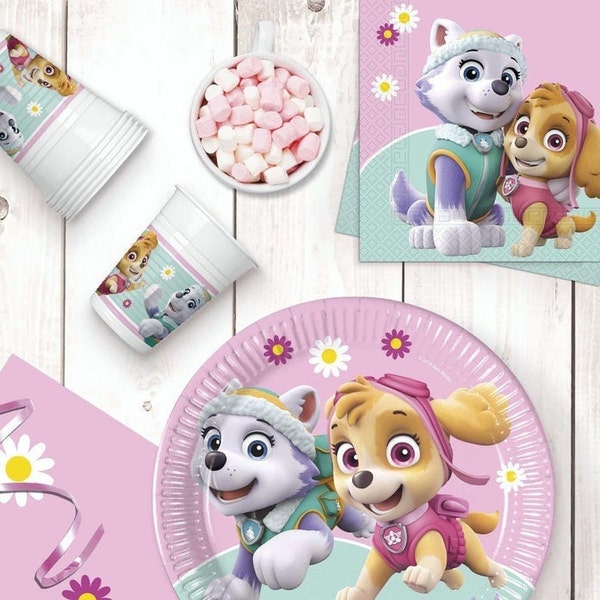 Skye Paw Patrol Sky & Everest Party Decor Supplies Tableware Balloons Napkins Plates Table cover Banner Cups