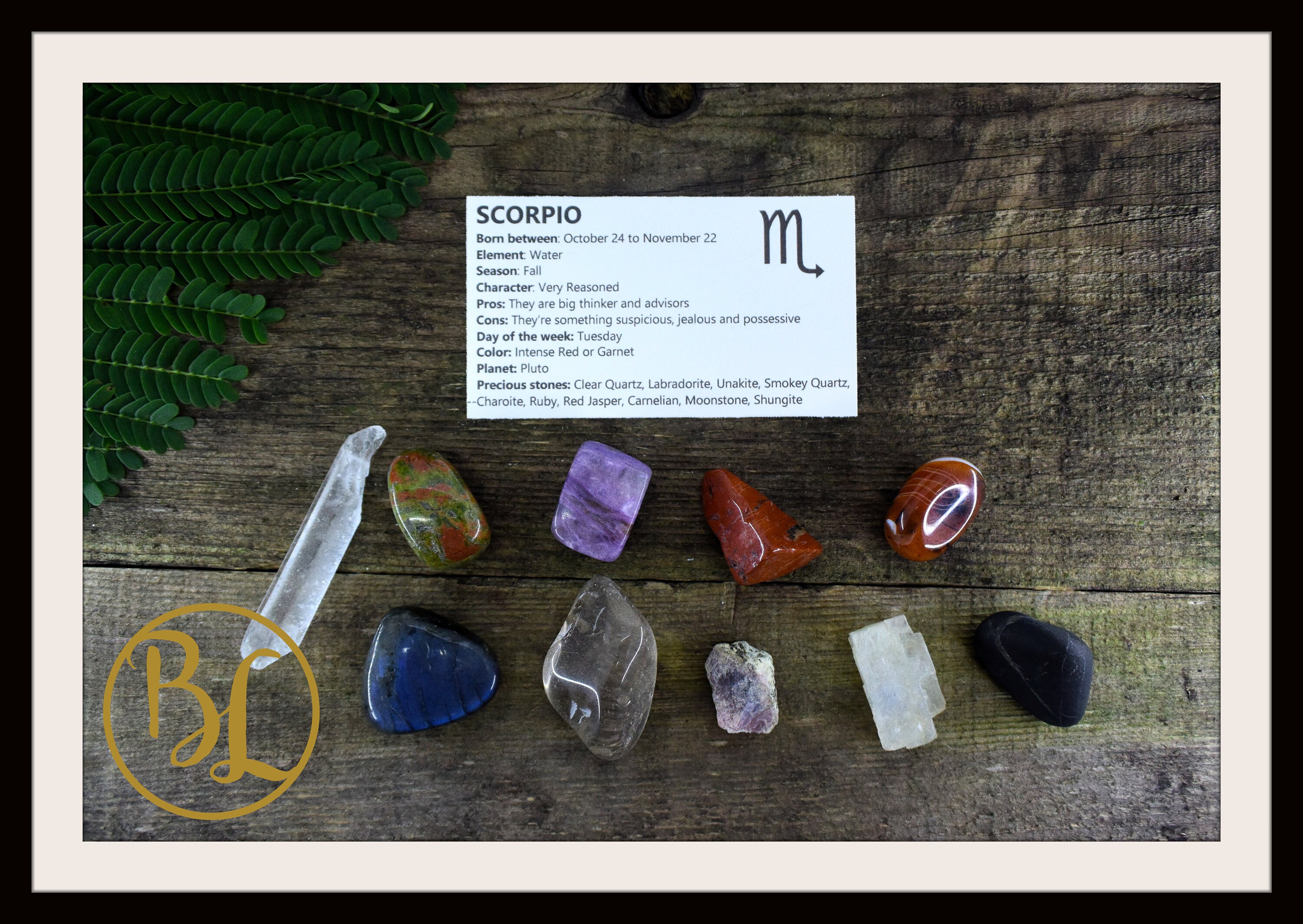 SCORPIO Gemstone Kit 10 Zodiac Scorpio Gemstones Set Healing Etsy