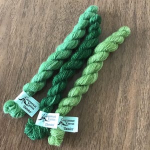 May include: Three skeins of green yarn in varying shades, labeled 'Daisies' by Gumnut Yarns. The yarn is tightly twisted, with a soft, textured appearance. The colors range from a deep forest green to a lighter, spring green.