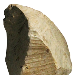 Soapstone Carving Rock Brown 20lb Rough