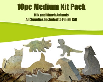 Soapstone Carving Kit - Medium 10pc Pack - Kids and Adult Craft Kit - Carving Activity Arts and Crafts DIY