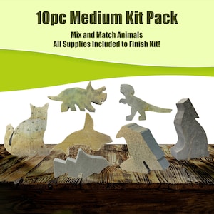Soapstone Carving Kit - Medium 10pc Pack - Kids and Adult Craft Kit - Carving Activity Arts and Crafts DIY