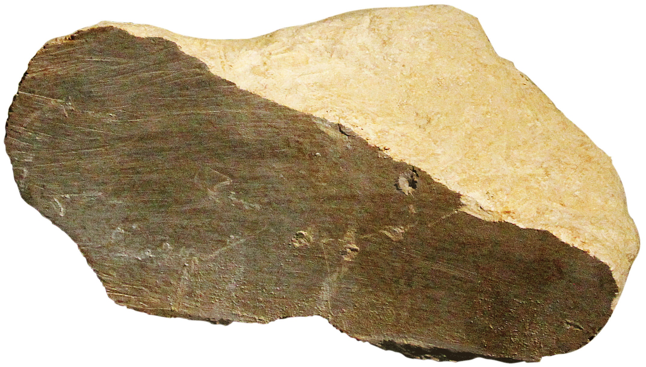 Soapstone Carving Rock Brown 20lb Rough Etsy