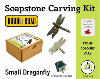 Dragonfly Soapstone Carving Kit - Small- Kids and Adult Craft Kit - Carving Activity Arts and Crafts DIY