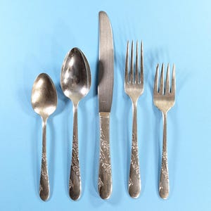 1950s Oneida Bridal Wreath Tudor plate Community flatware place setting for 1, Oneida community 5 piece set