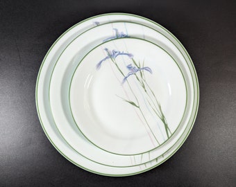 Vintage Corelle Corningware Shadow Iris plate set for 2, 2 dinner plates, 2 salad plates, 2 bread plates made in USA